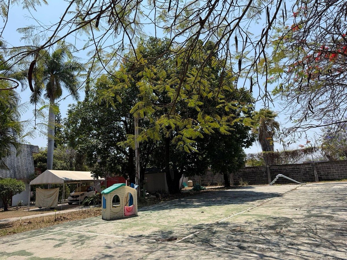 10 de 16