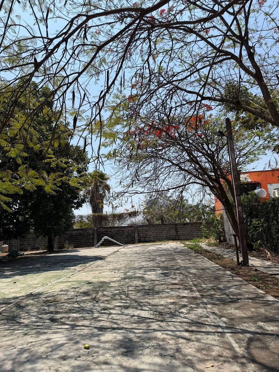 11 de 16