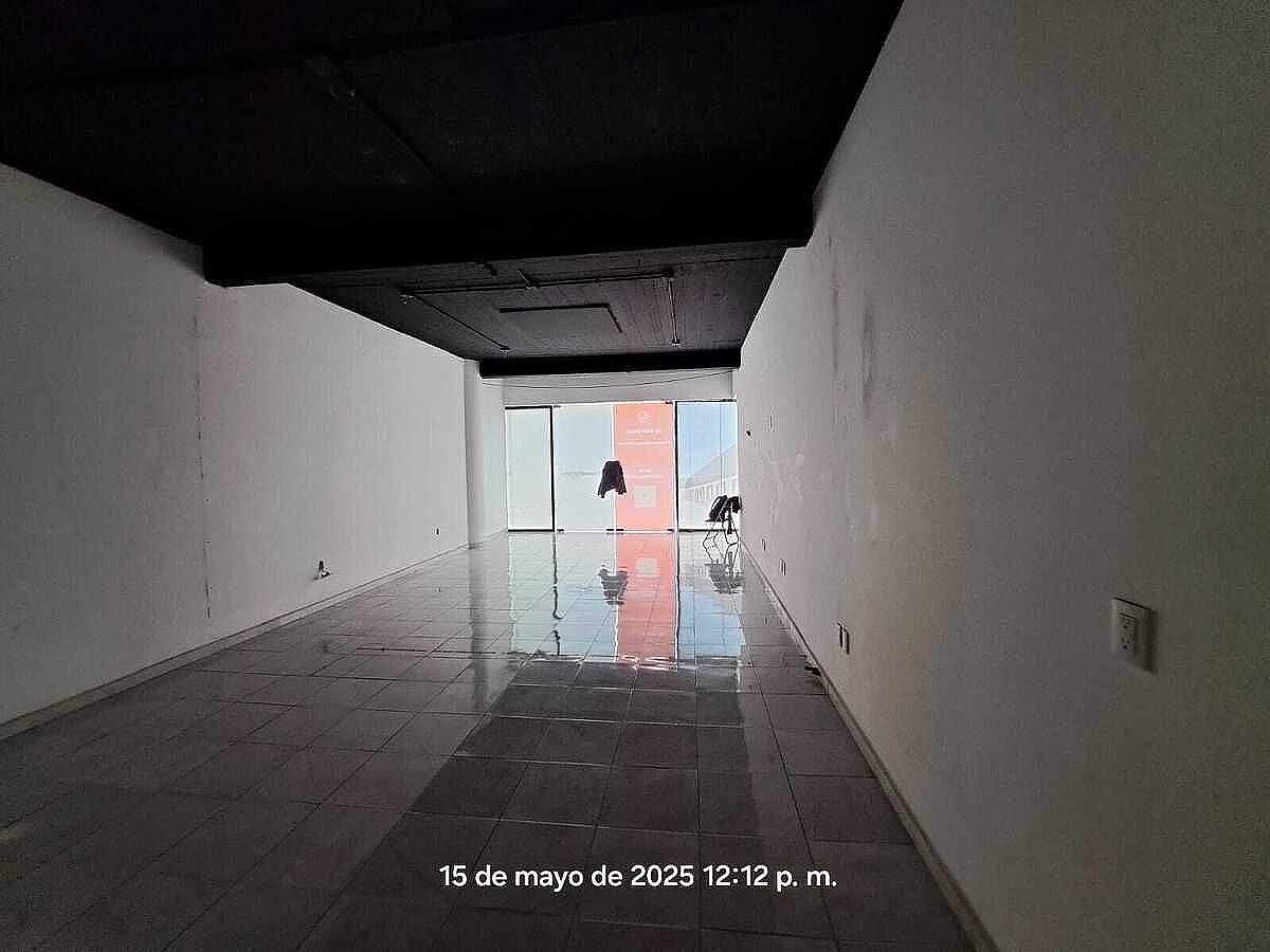 12 de 17