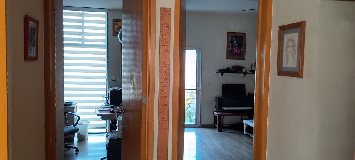 5 de 31