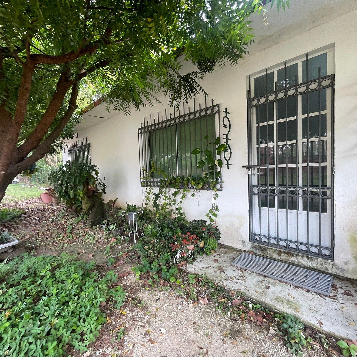 RANCHO EN VENTA 🏡🌿 - foto 3