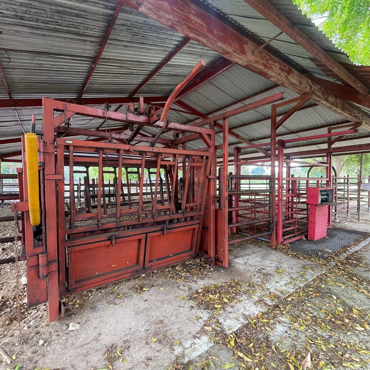 Rancho en Medellin y Pigua 3a Secc, Villahermosa, foto 8 de 18