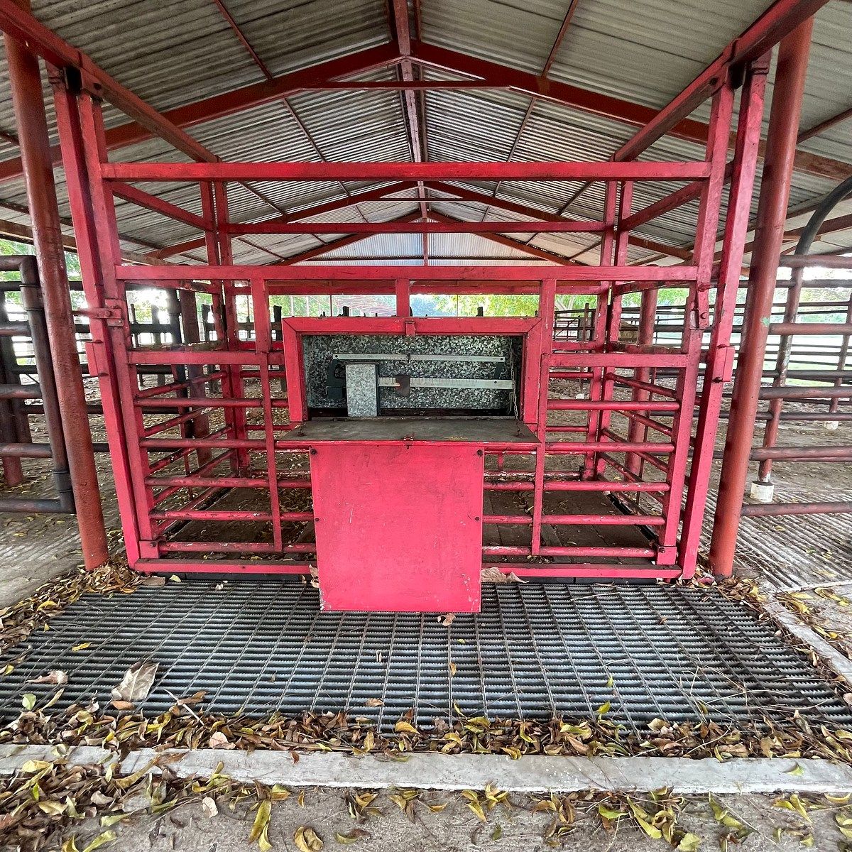 Rancho en Medellin y Pigua 3a Secc, Villahermosa, foto 9 de 18