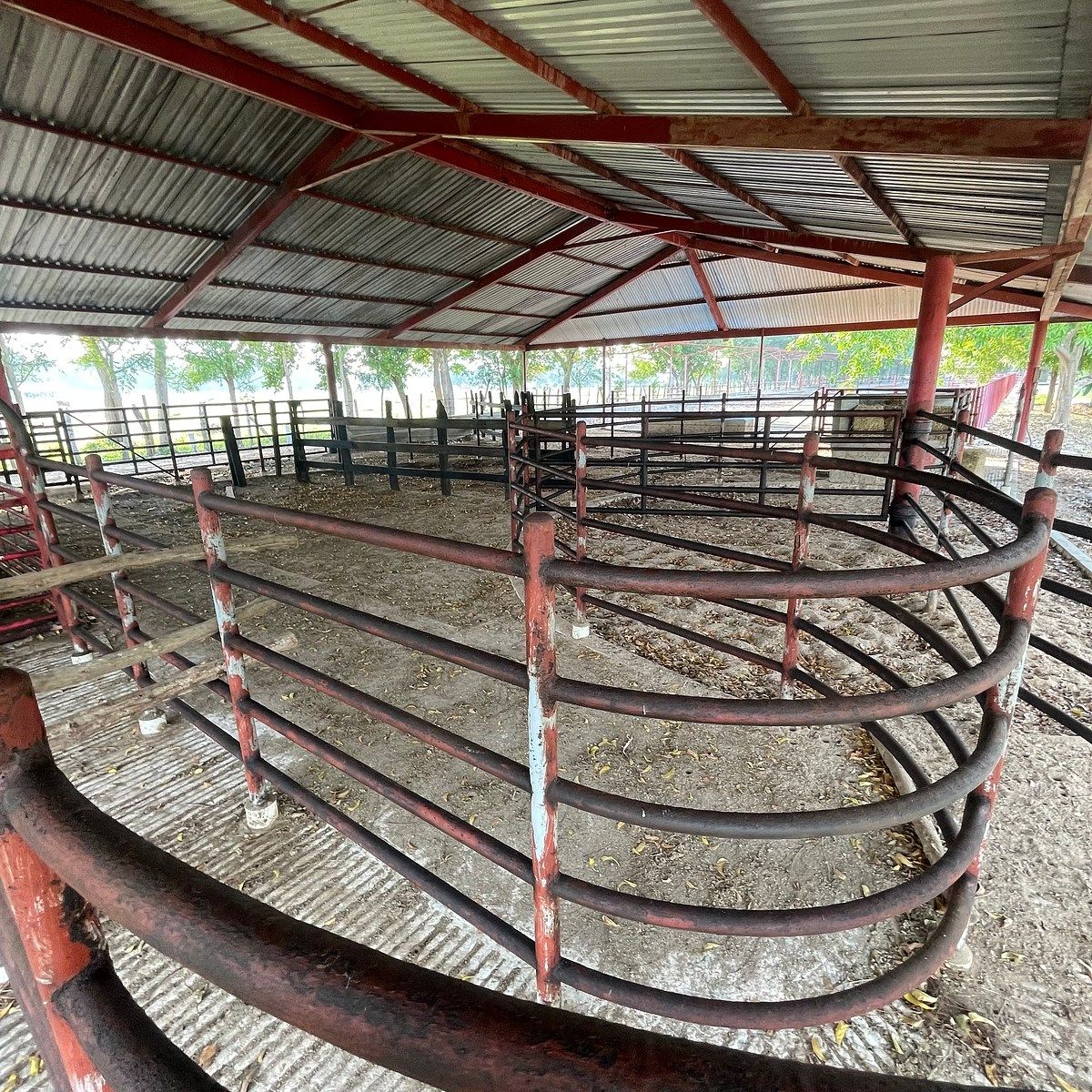 Rancho en Medellin y Pigua 3a Secc, Villahermosa, foto 10 de 18