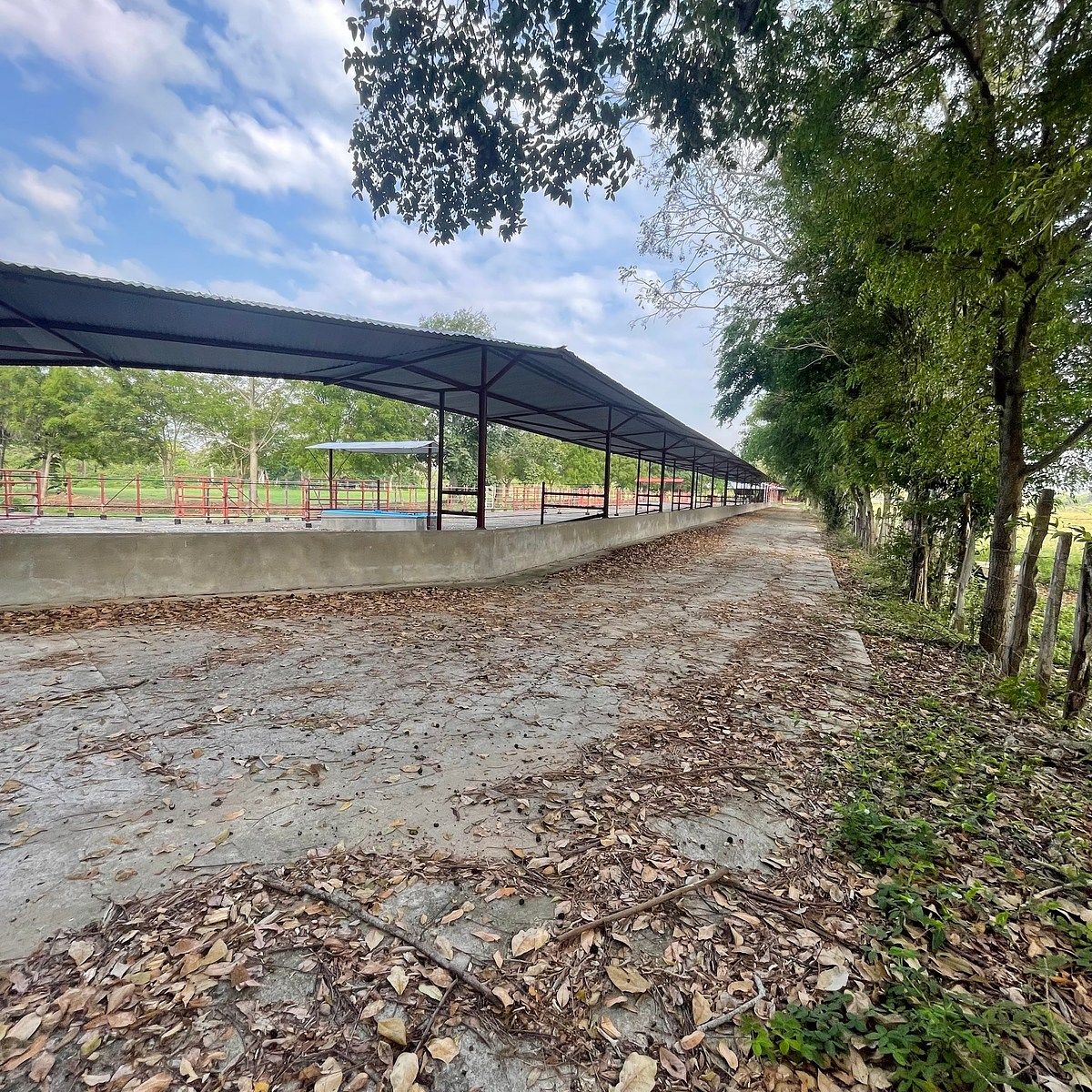Rancho en Medellin y Pigua 3a Secc, Villahermosa, foto 11 de 18