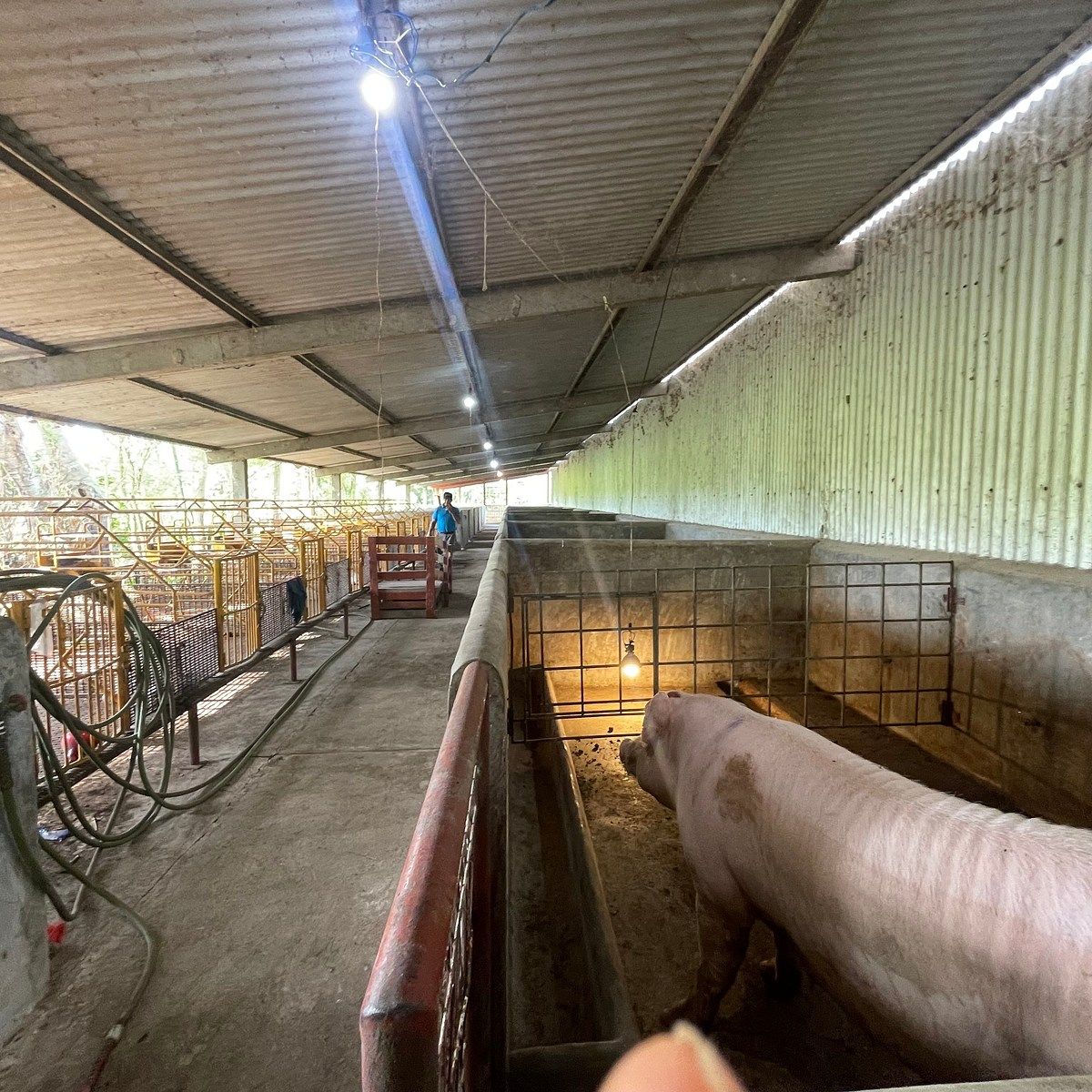 Rancho en Medellin y Pigua 3a Secc, Villahermosa, foto 13 de 18