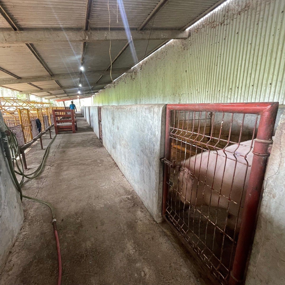 Rancho en Medellin y Pigua 3a Secc, Villahermosa, foto 15 de 18