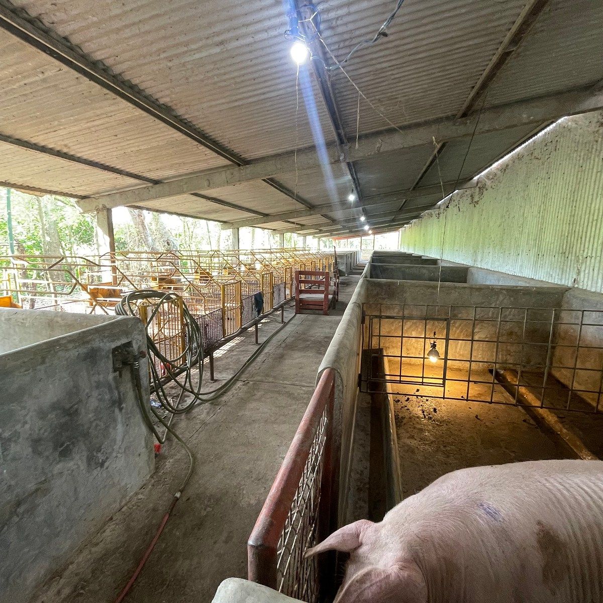 Rancho en Medellin y Pigua 3a Secc, Villahermosa, foto 16 de 18