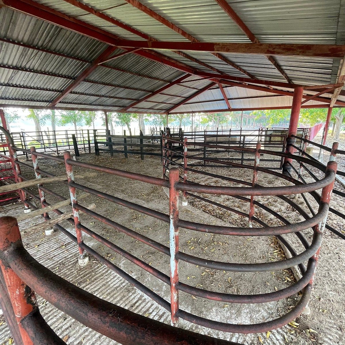 Rancho en Medellin y Pigua 3a Secc, Villahermosa, foto 17 de 18