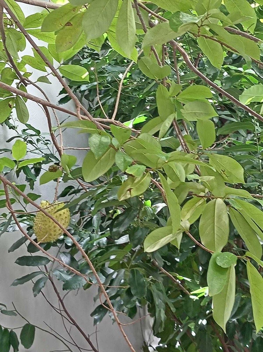 13 de 20
