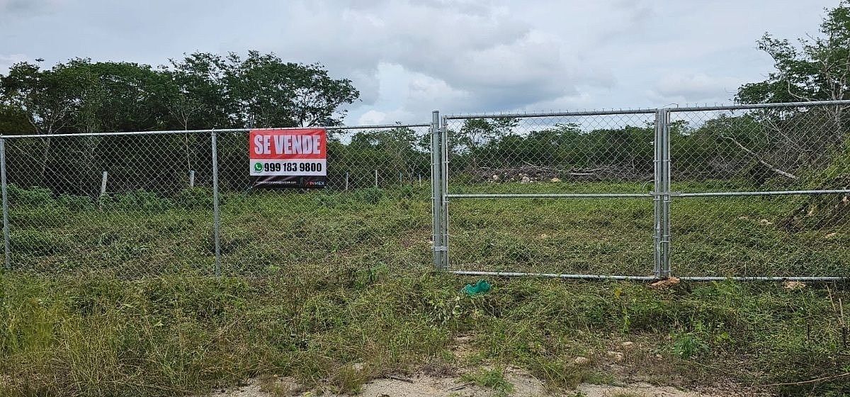5 de 10