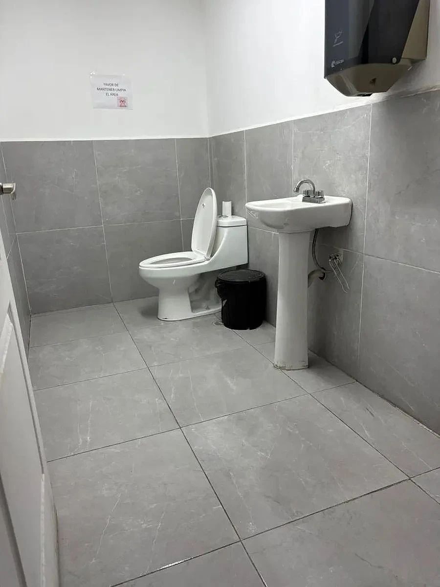 6 de 15
