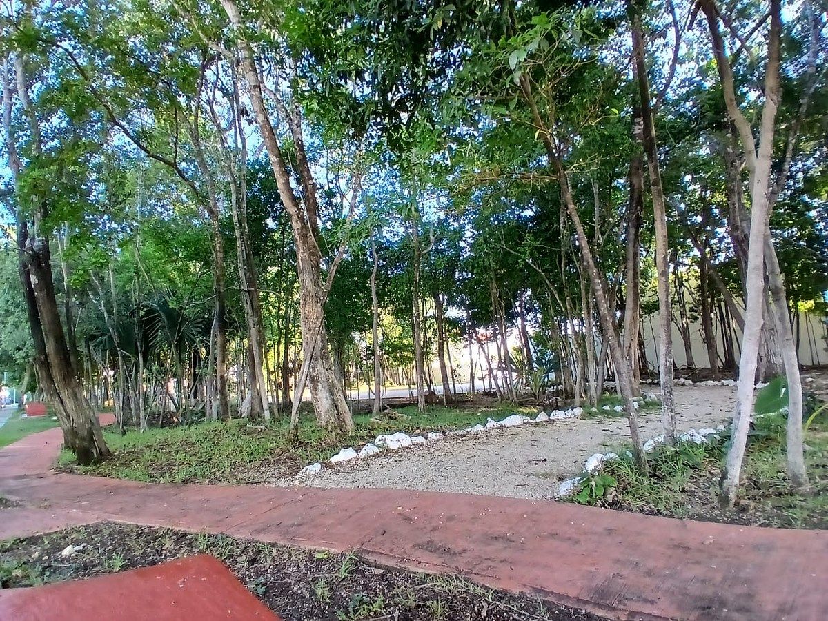 13 de 13