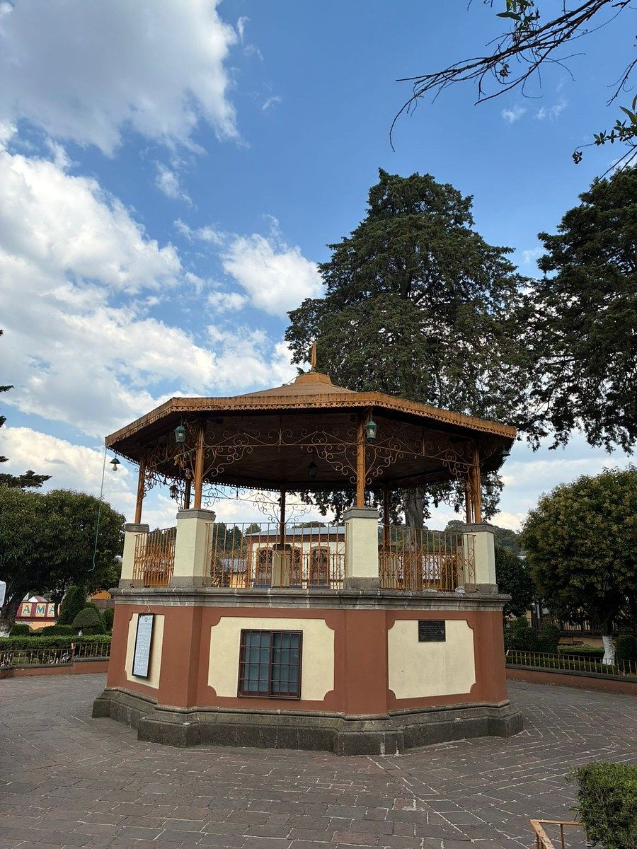 29 de 30