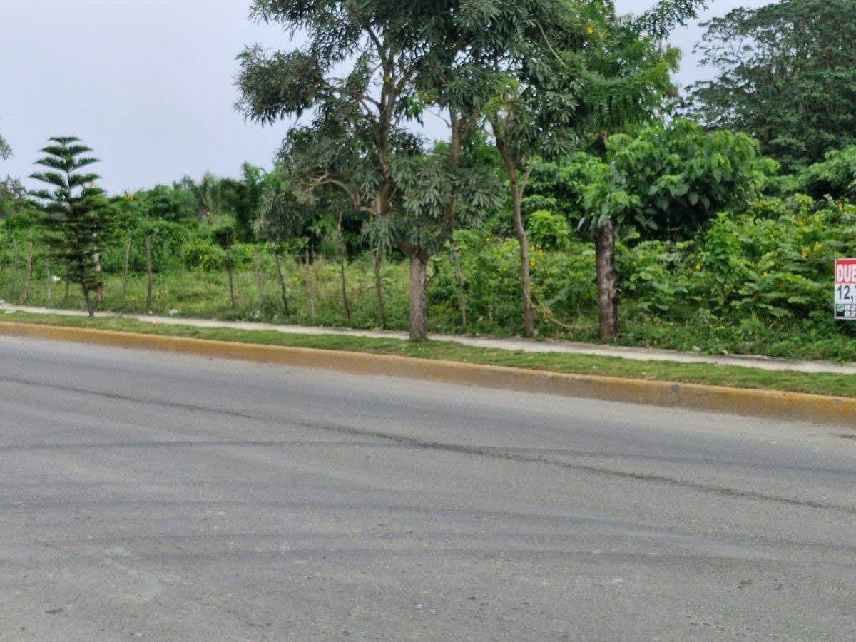 11 de 15