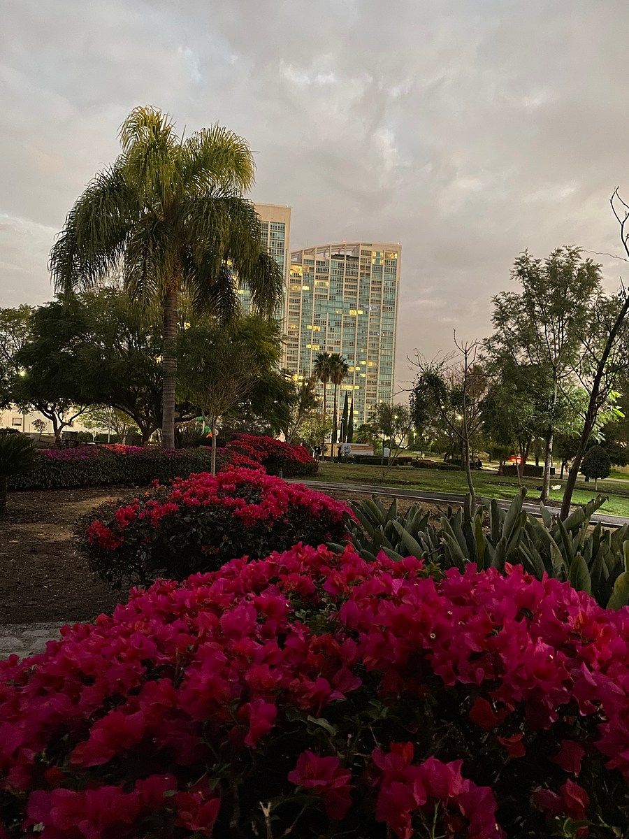 18 de 19: Parque frente a la casa