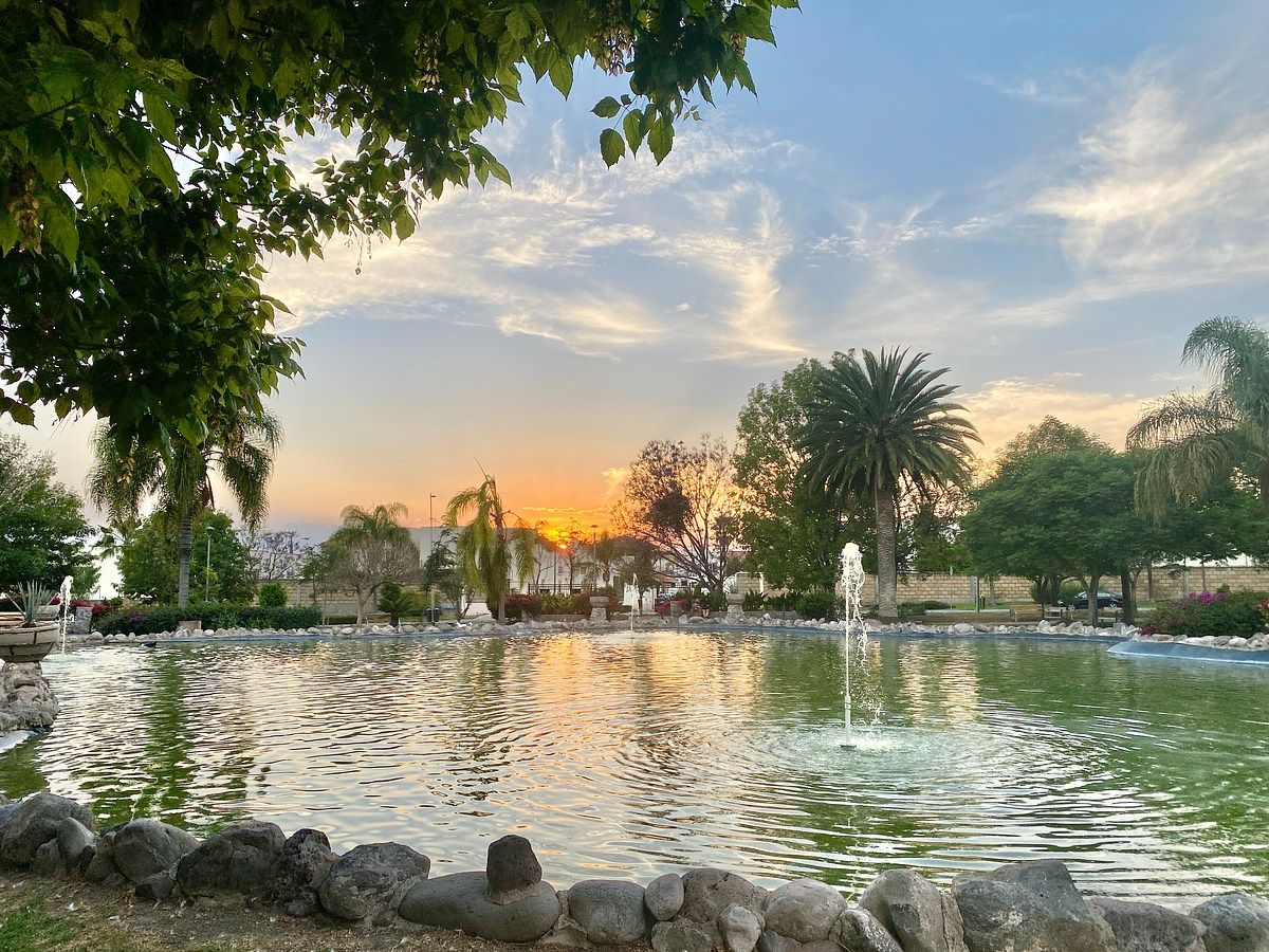 19 de 19: Lago frente a la casa