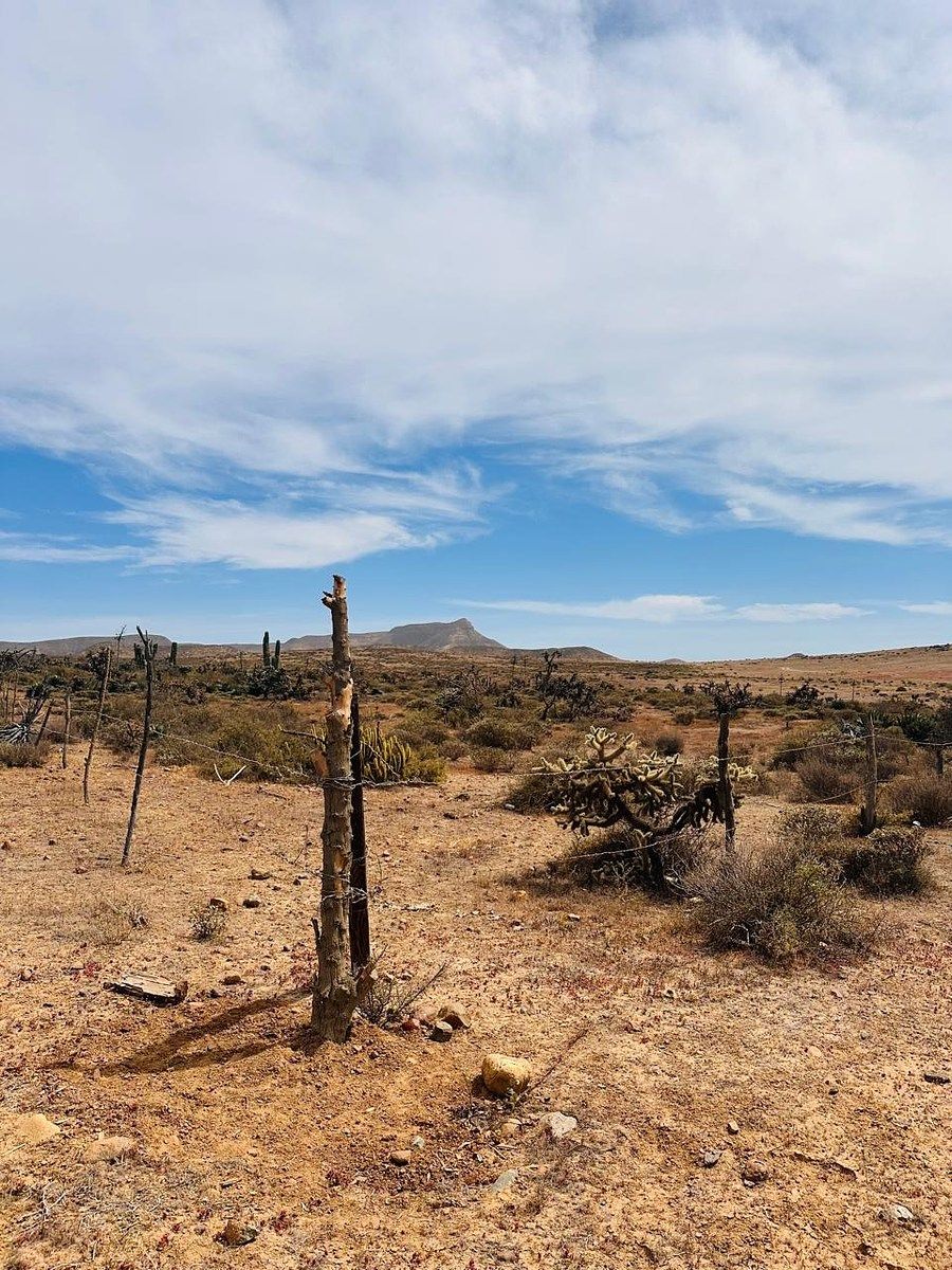VENTA DE 266 HECTÁREAS EN EL ROSARIO, BAJA CALIFORNIA NORTE, foto 1 de 4