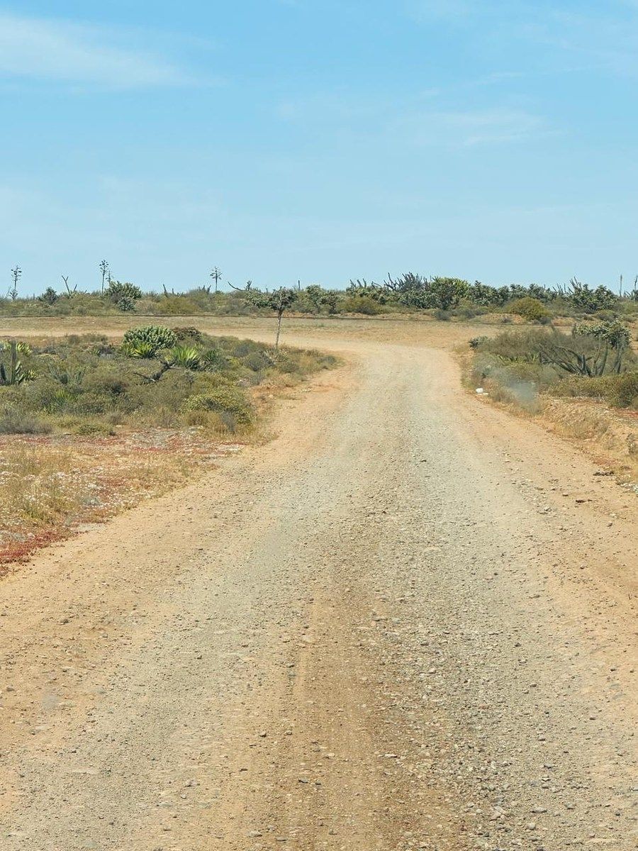 Terreno en El Rosario de Arriba, San Quintín, foto 3 de 4