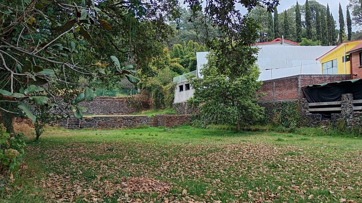 12 de 39