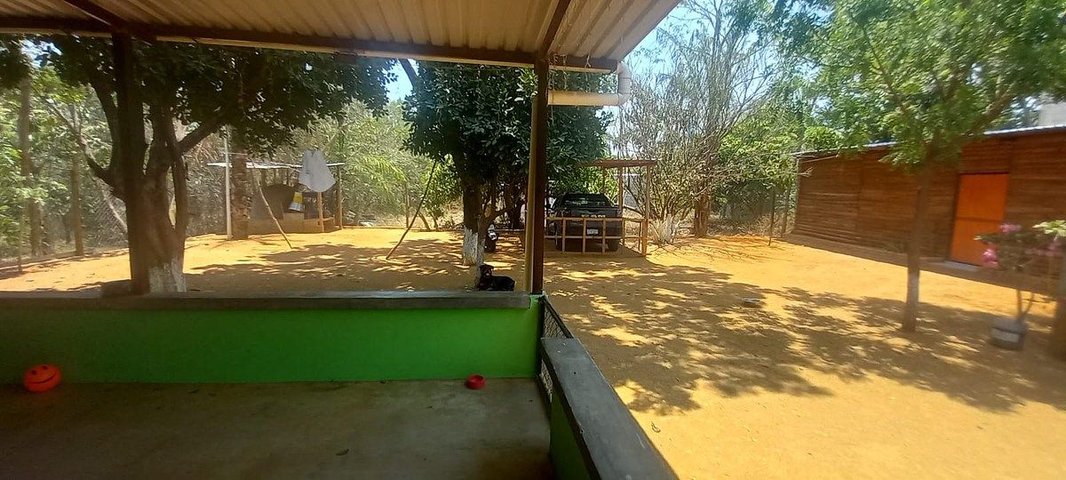 14 de 19