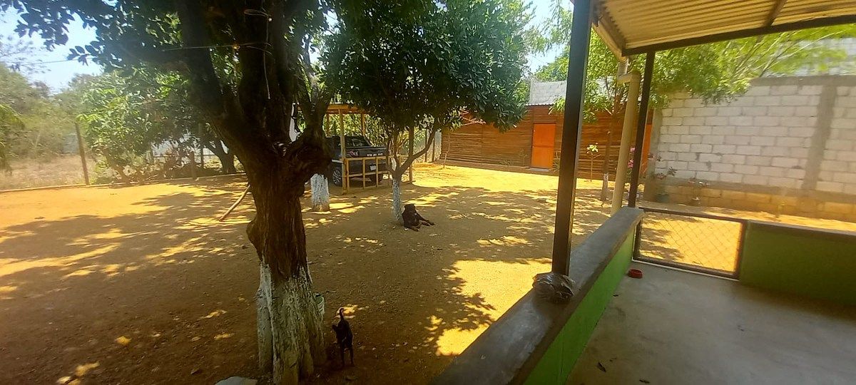 13 de 19