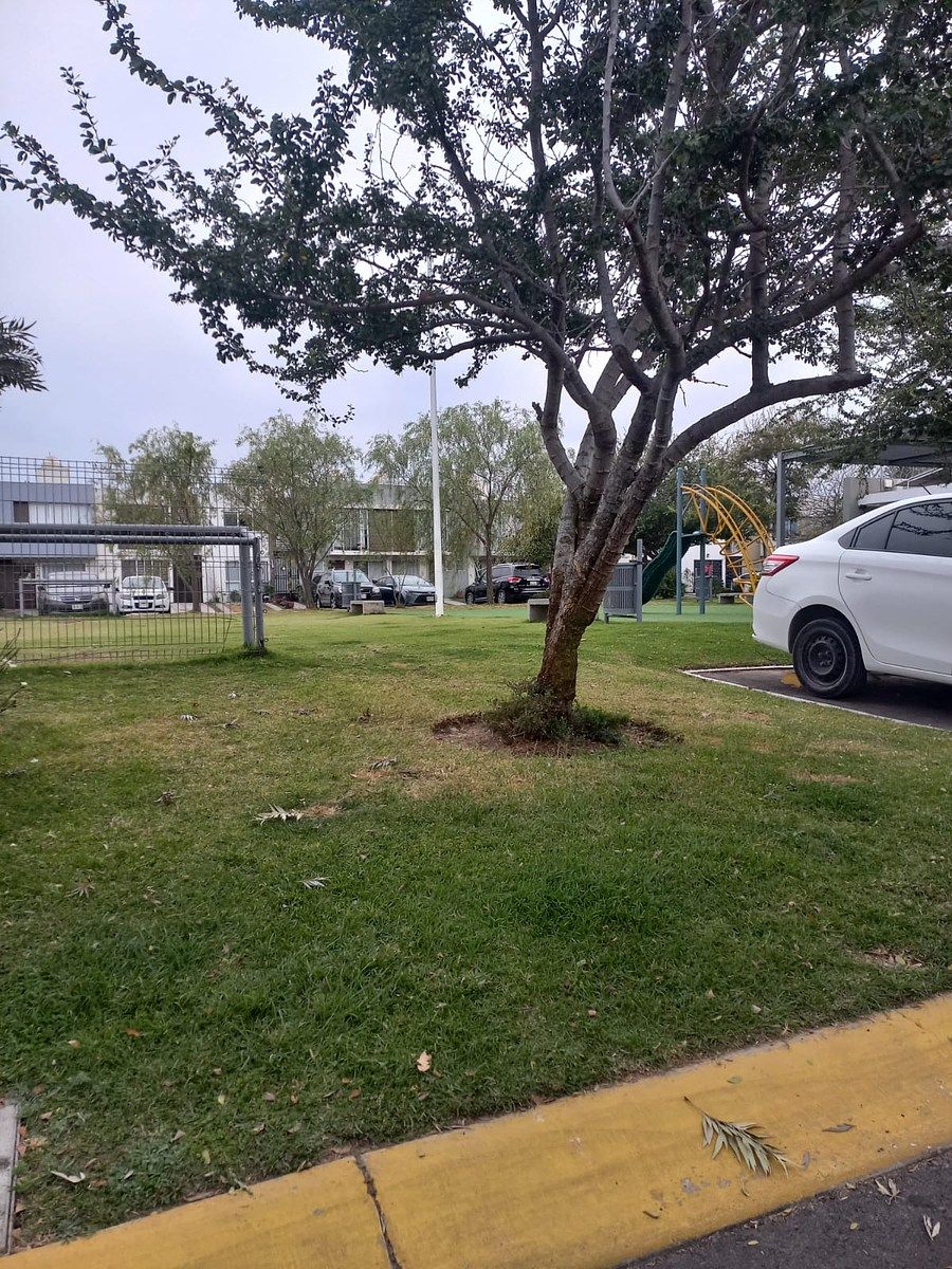 35 de 44