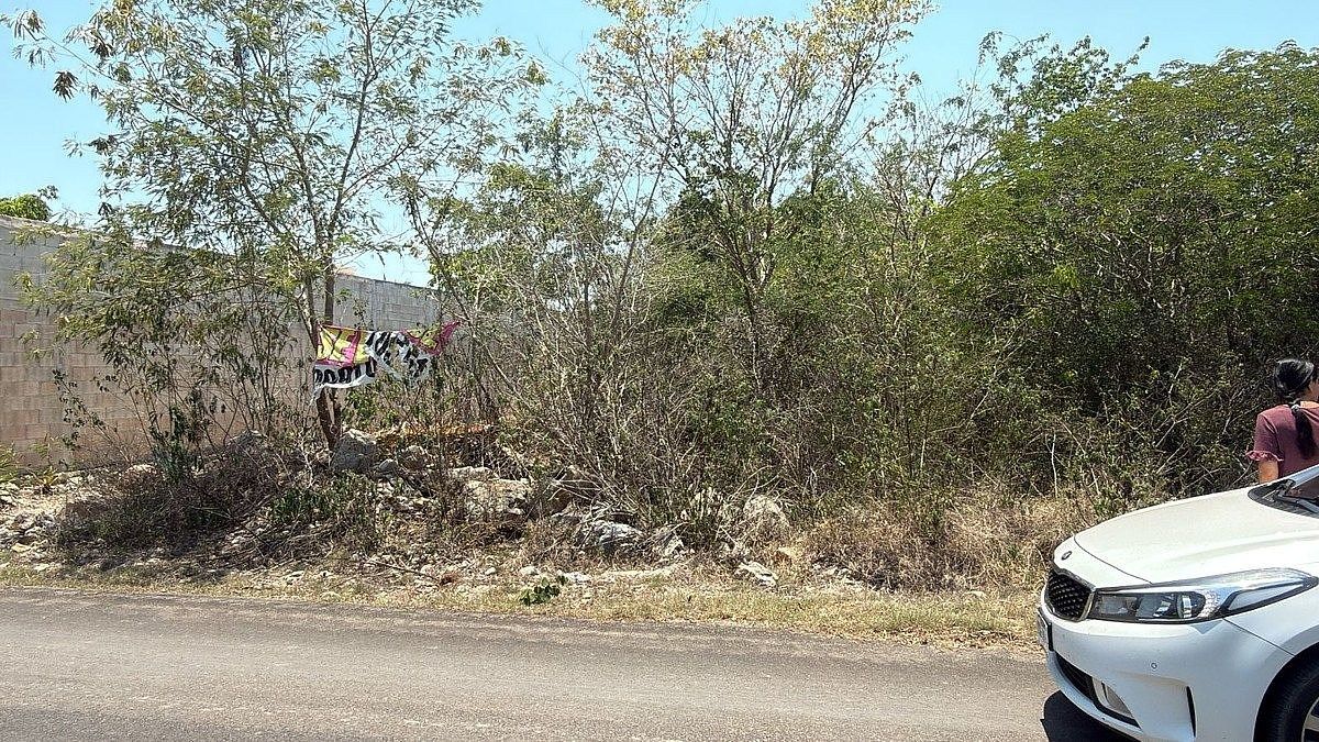 3 de 8