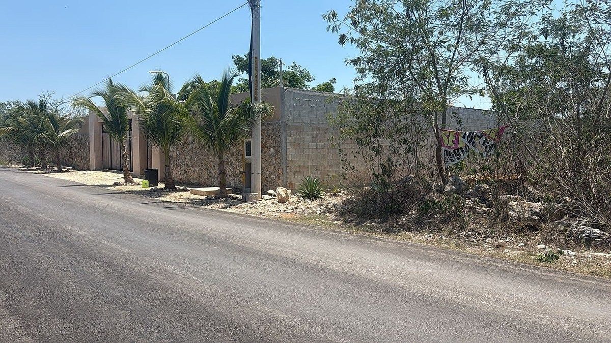 4 de 8