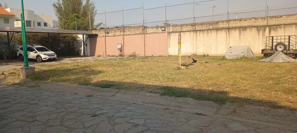 2 de 7