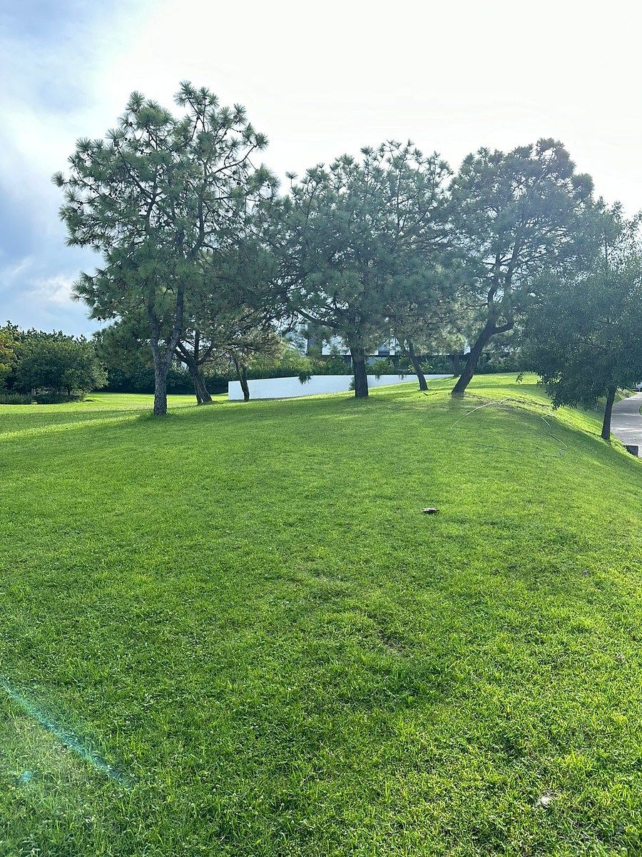 Lote em El Alcazar Poniente, Zapopan, foto 11 de 12