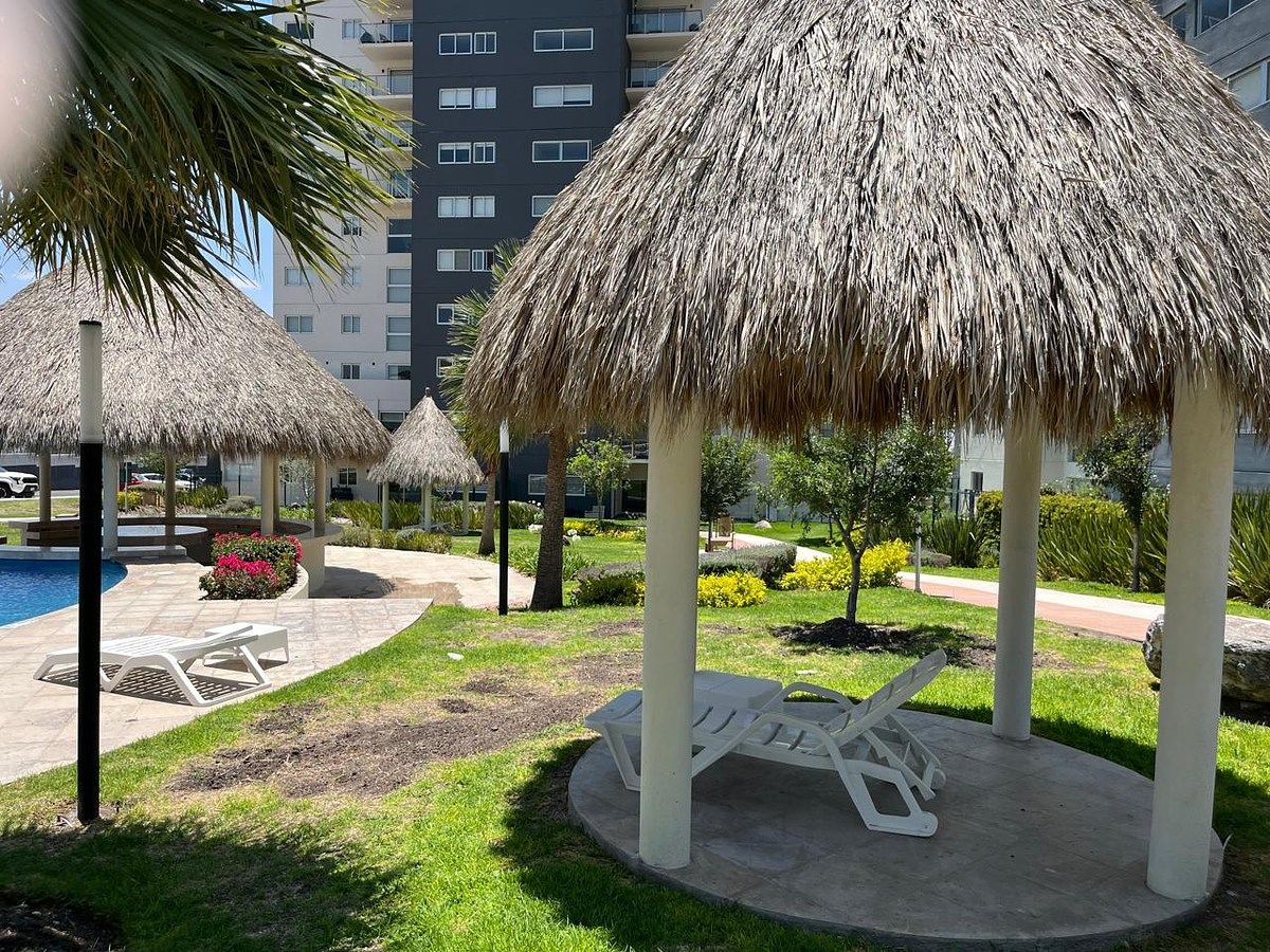 24 de 29