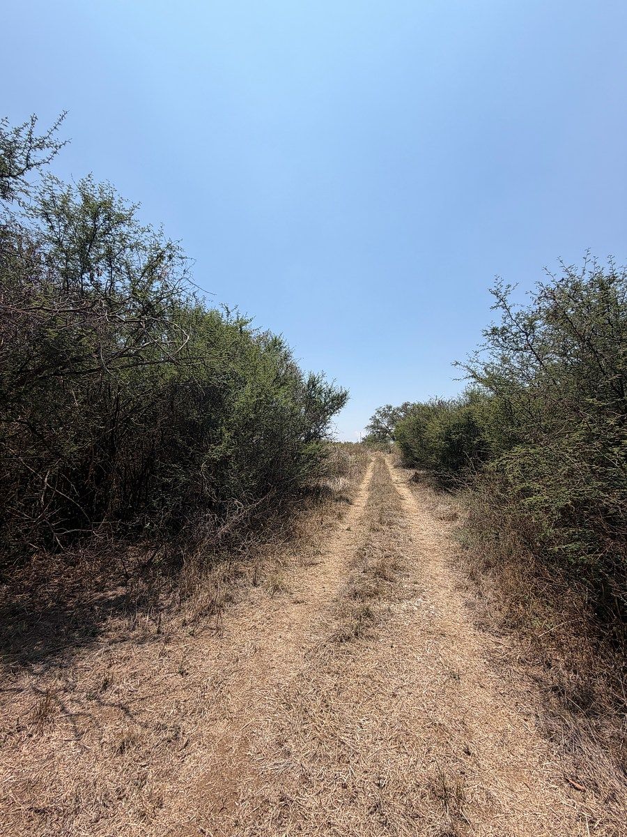 Terreno en San Raymundo Jalpan, San Raymundo Jalpan, foto 6 de 9