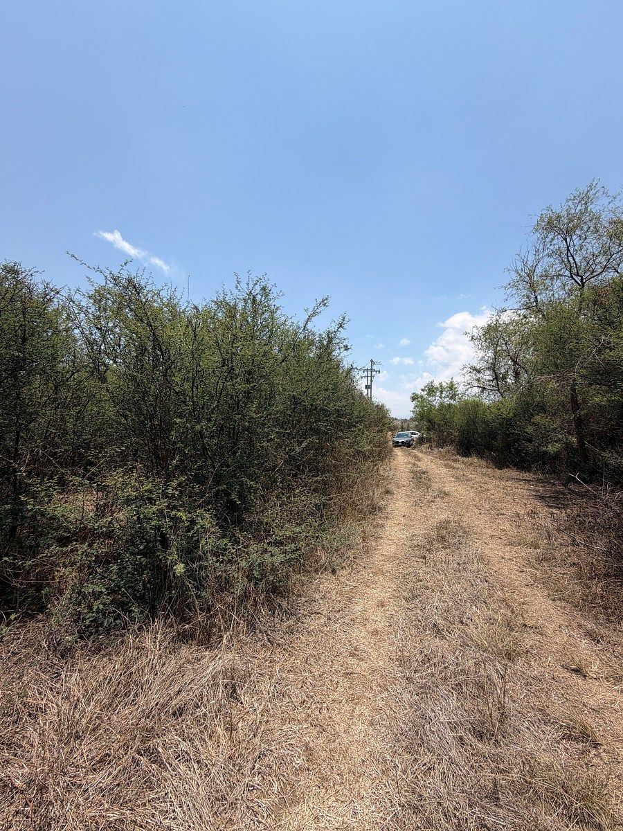 Terreno en San Raymundo Jalpan, San Raymundo Jalpan, foto 7 de 9