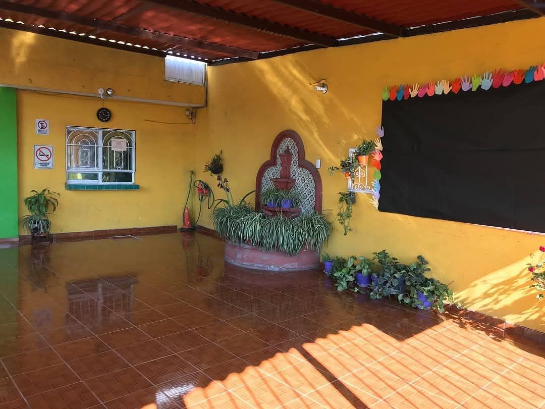 3 de 6