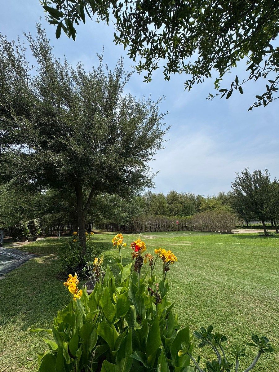 Lote em San Antonio, Juárez, foto 6 de 16