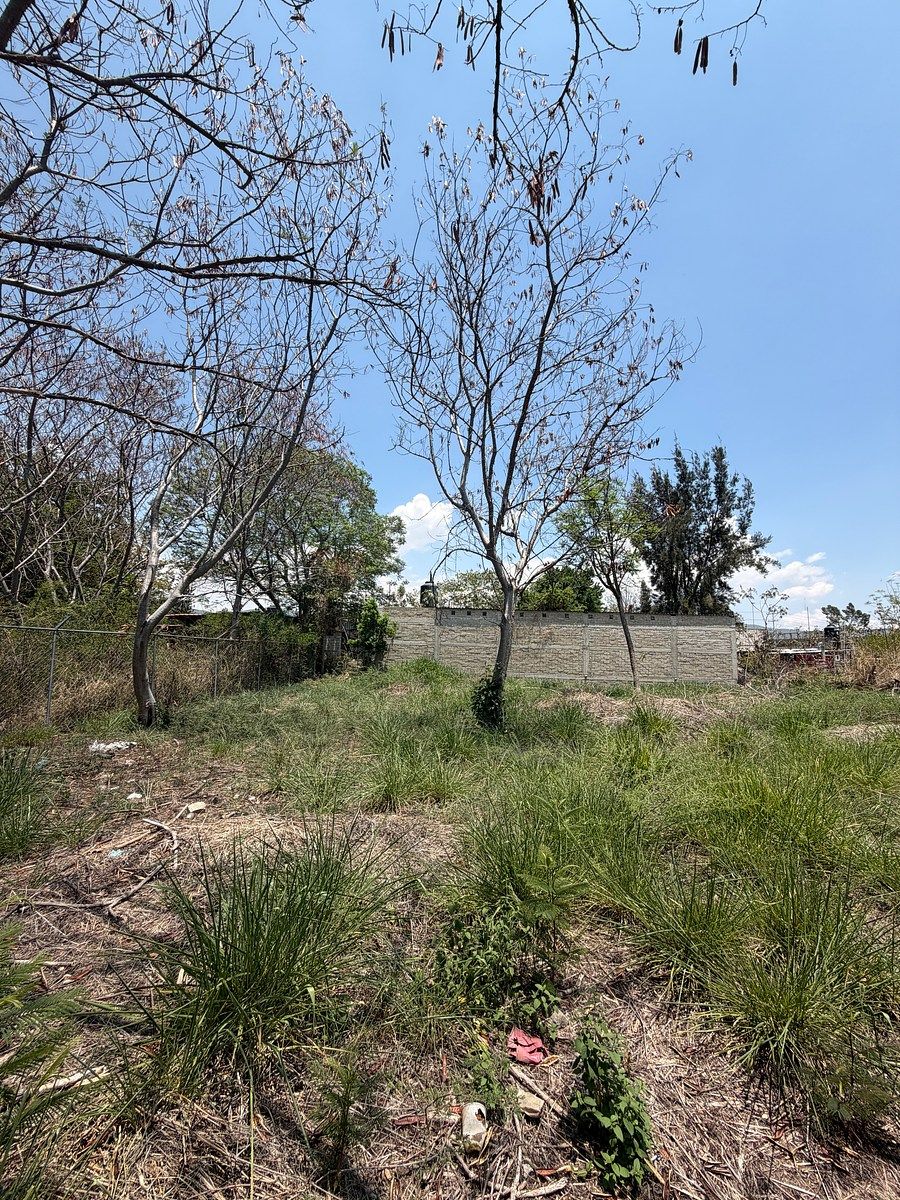 Lote em San Bartolo Coyotepec, San Bartolo Coyotepec, foto 8 de 11