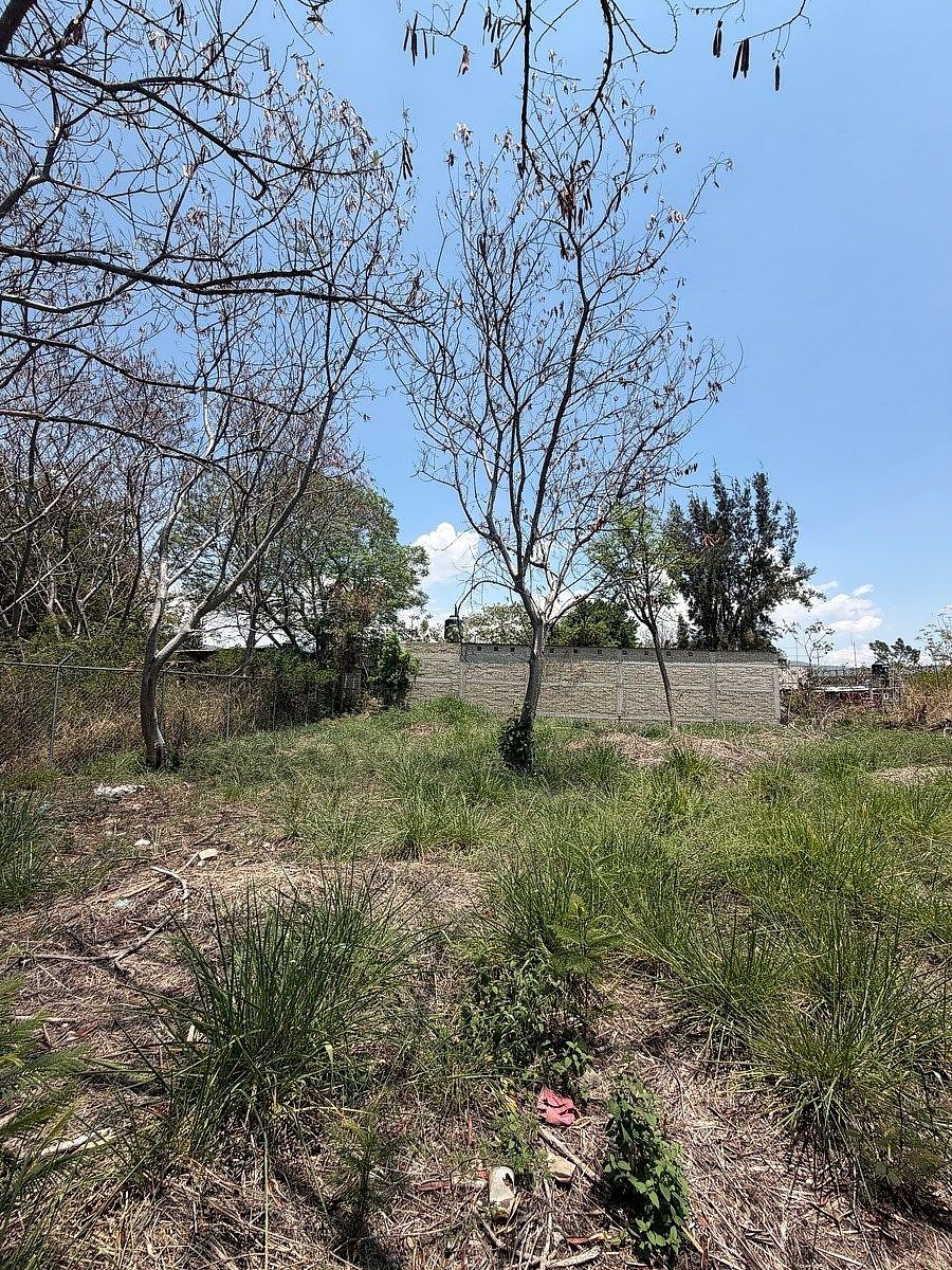 Terreno en San Bartolo Coyotepec, San Bartolo Coyotepec, foto 8 de 11