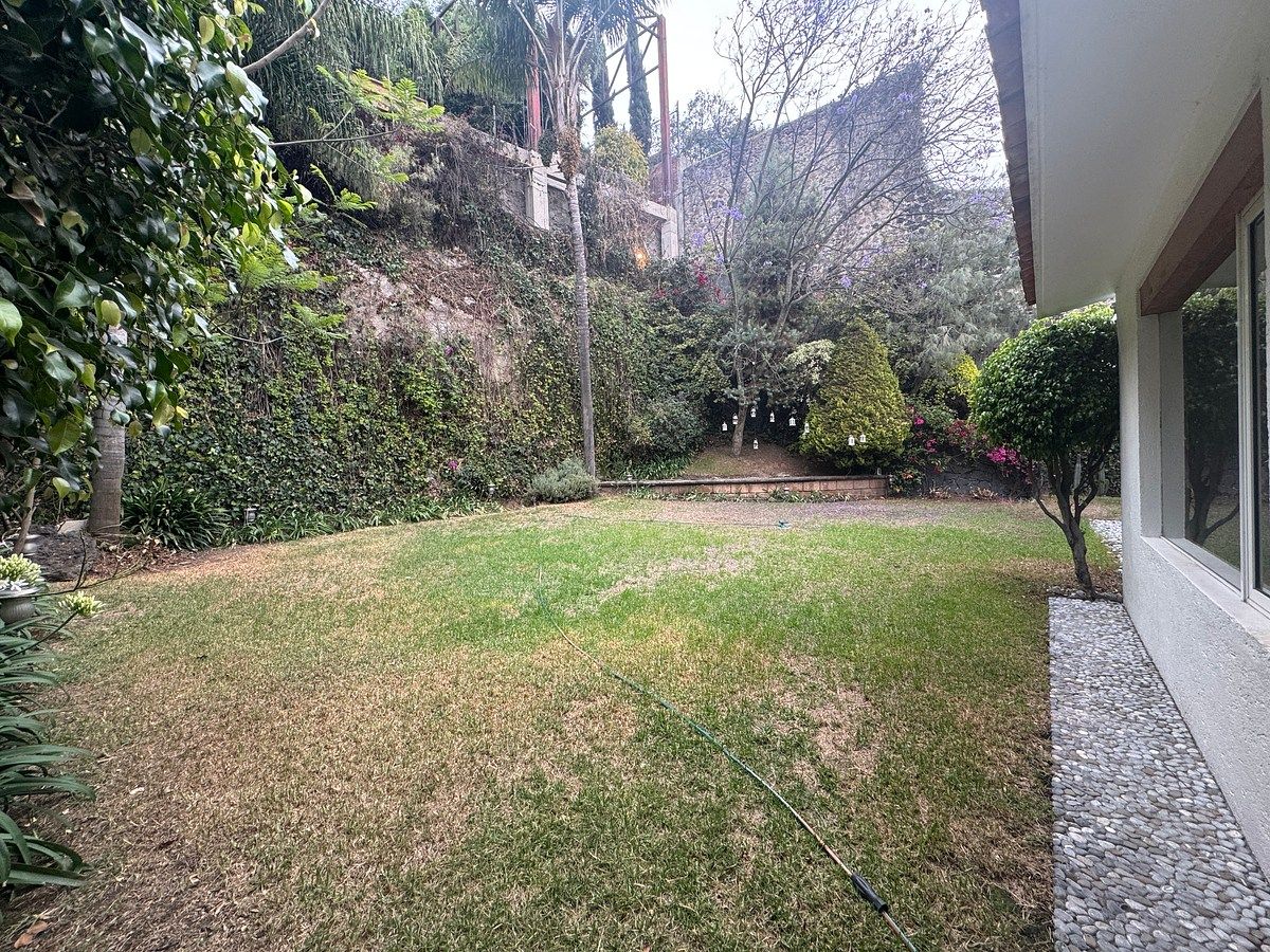 11 de 14
