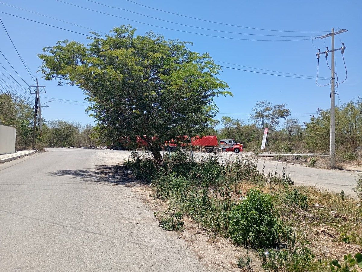 3 de 4