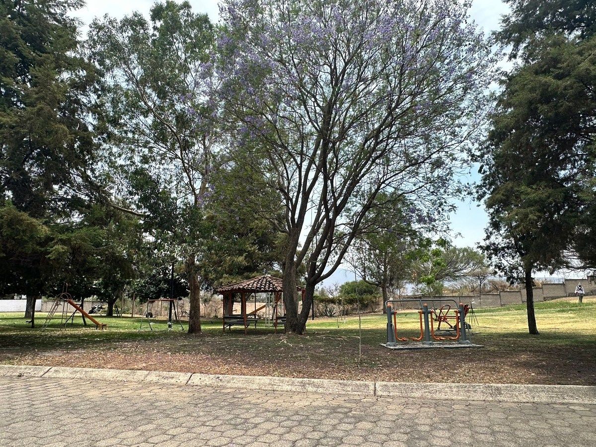 6 de 8