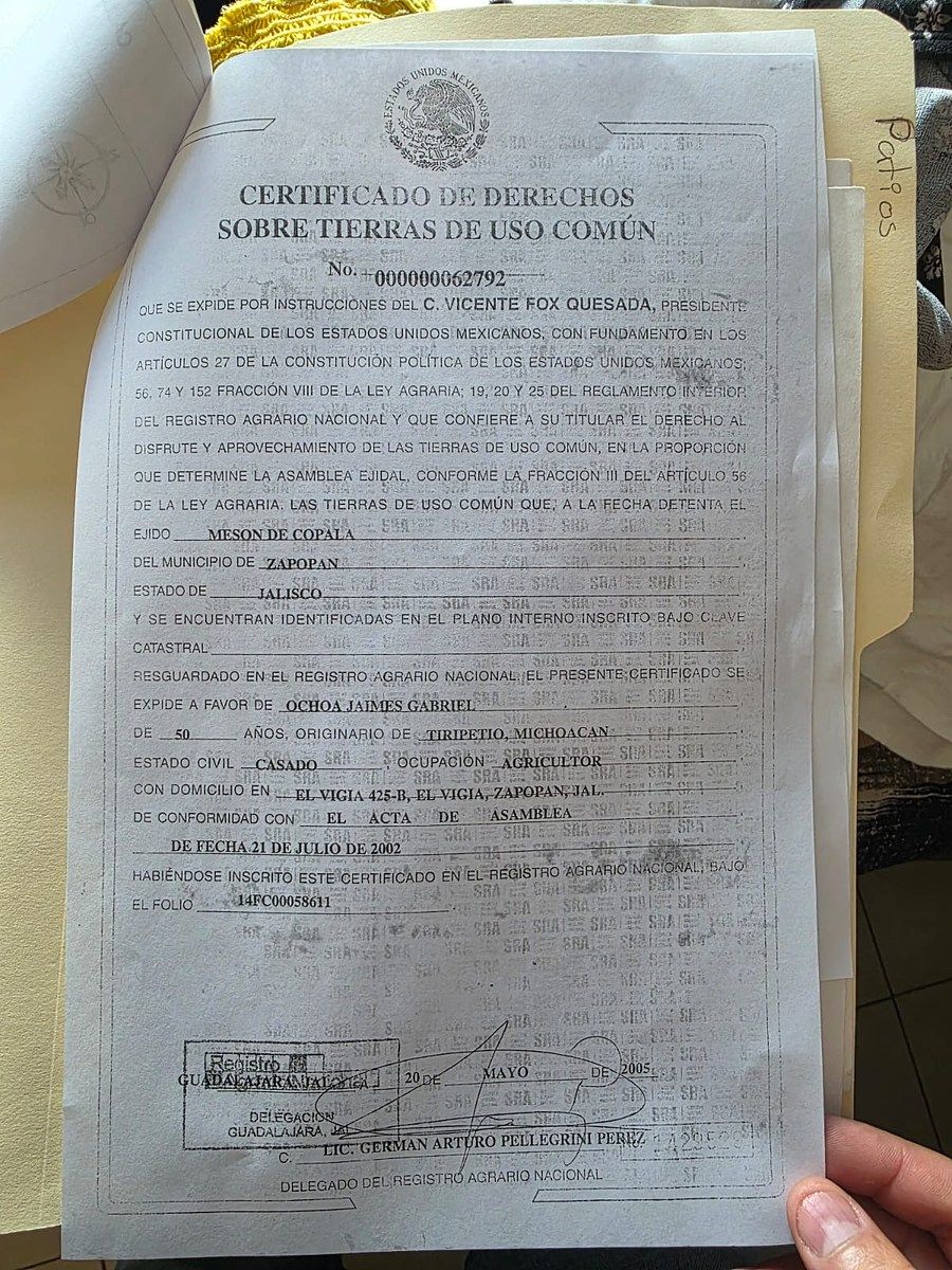 8 de 9