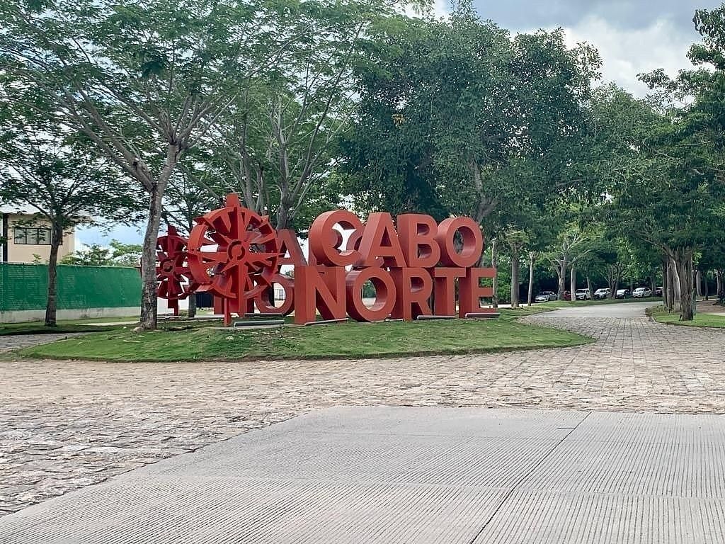 8 de 8