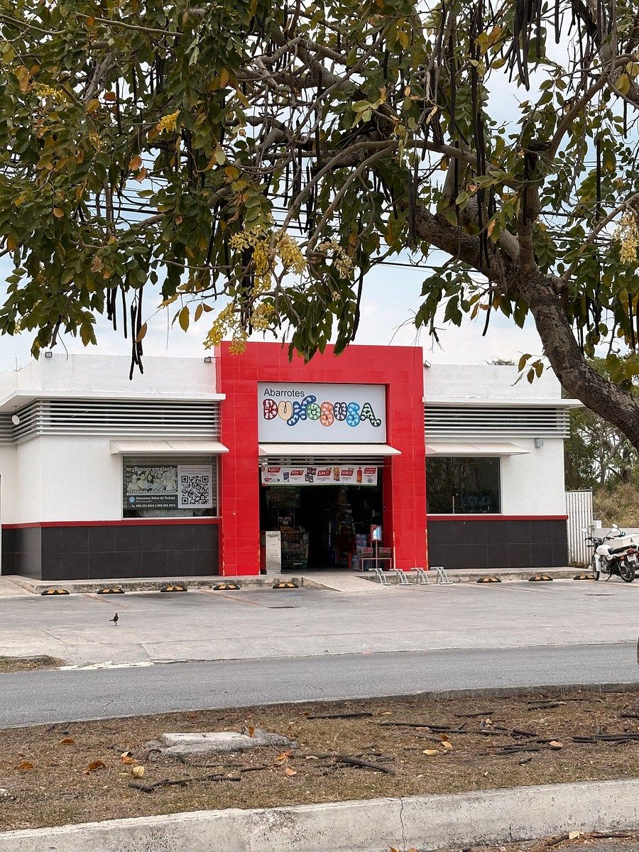 Venta de Terreno comercial en Circuito Colonias Poniente, Nueva Obrera - foto 5
