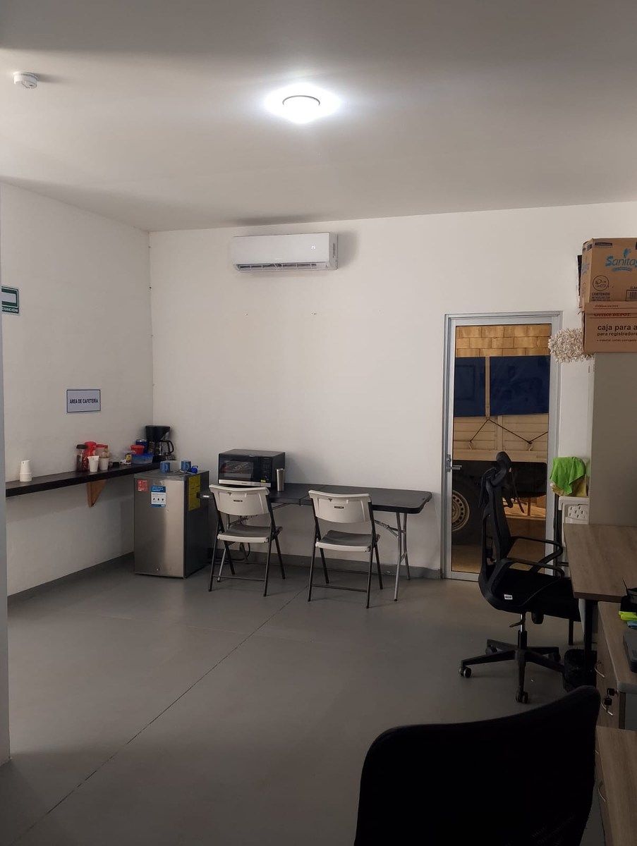 6 de 11