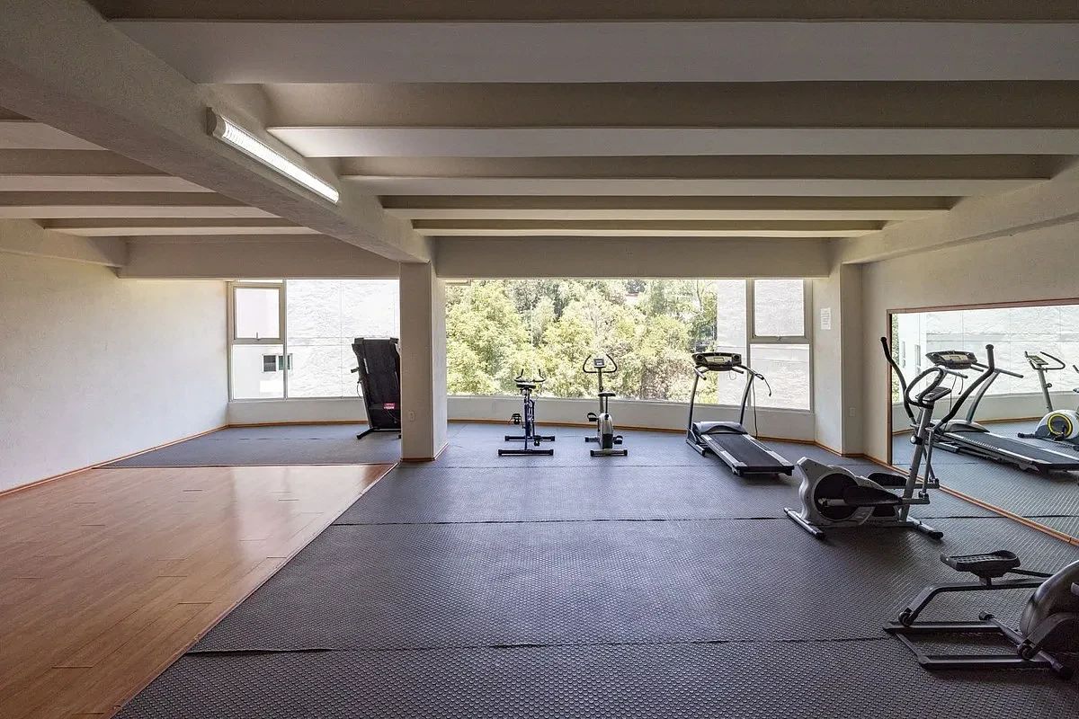 18 de 19: Gimnasio