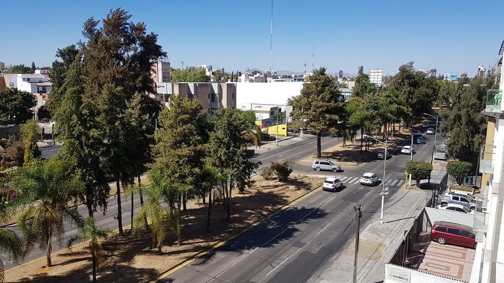 6 de 11