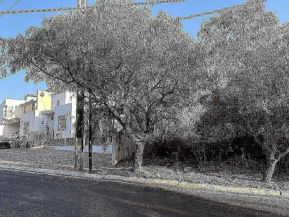 3 de 6
