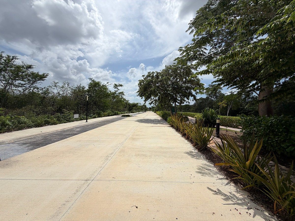 Terreno en Cholul, Mérida, foto 8 de 17