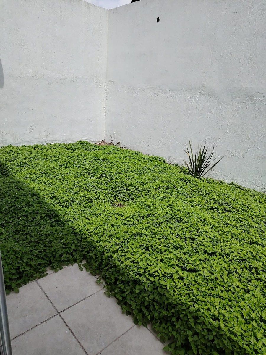 1 de 22